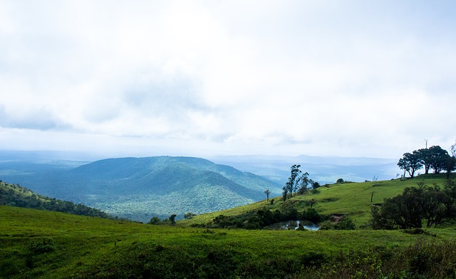可预期提前