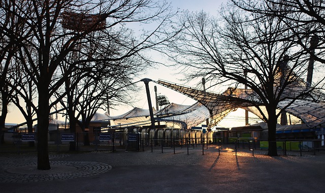 深圳校园体 深圳校园体